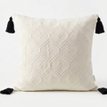White textured decorative pillow cover with black tassels. 20x20 pillow cover with zipper for easy removal.